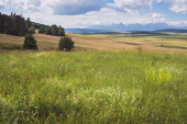 Scénický pohled na krásnou krajinu na Slovensku. Louka a les u Slovenského ráje s výhledem na Tatry v pozadí. Okouzlující a klidná scéna