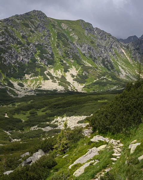 Rocky hiking trail in High Tatras mountains in Slovakia surrounded by coniferous trees. Top of mountain in background. Direction forward and way up concept
