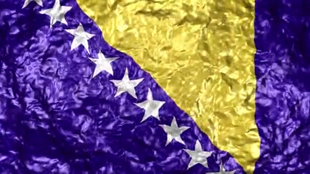 원활한 현실적인 깃발의 비디오 — 비디오
