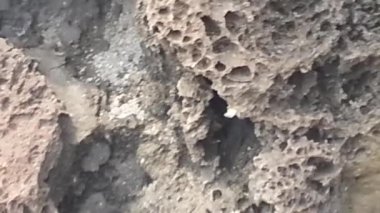 Mavi gökyüzü ve bulutlar arka plan yeşilimsi deniz ya da okyanus dalgaları hareketlerle