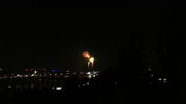 Fireworks Celebration Evening New Year Christmas — Stock Video