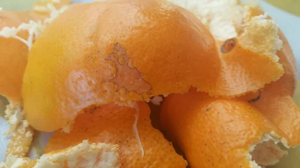 Apelsintorkat Skal Golvet Närbild — Stockfoto