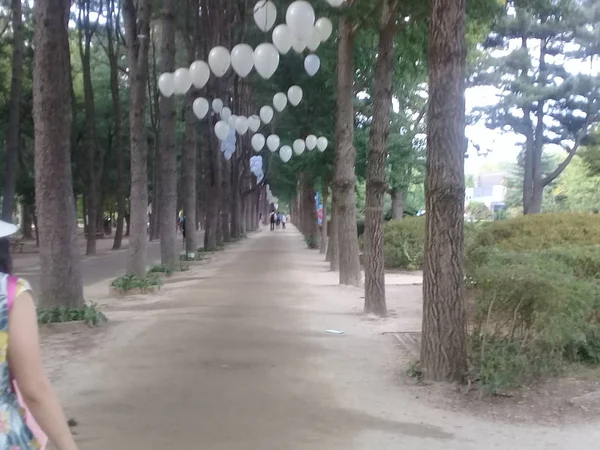 Güney Kore Namı Ada Ağustos 2018 Her Iki Tarafta Naami — Stok fotoğraf