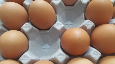 Yumurta kutusunda ya da yumurta tutacağında ya da kağıt tepside taze çiftlik tavuğu yumurtası satışı için boş yer var.