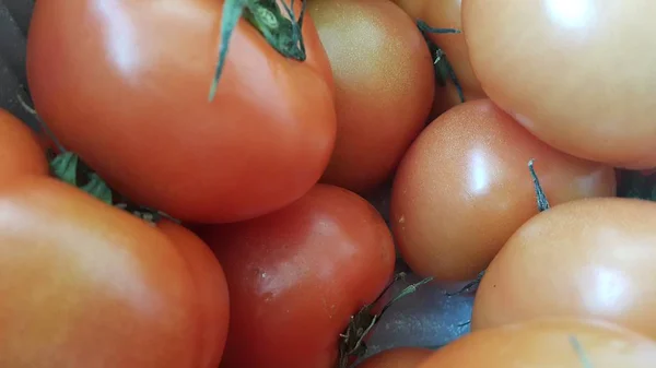 Tomates Vermelhos Cesta Vermelha Mercado Para Venda Fundo Fruta Para — Fotografia de Stock