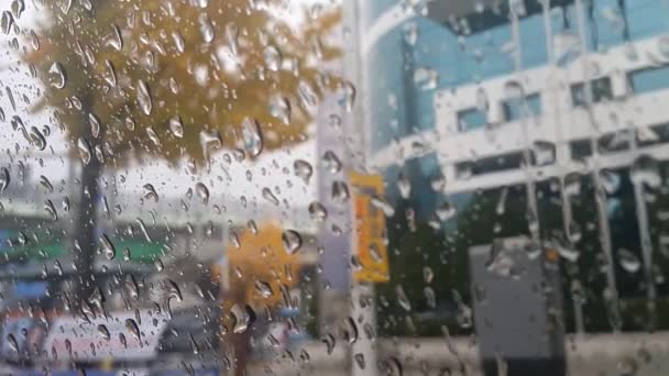 Close View Rain Drops Car Window Mirror Blurred Market Scenery — Stock Video