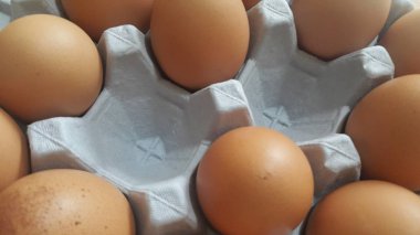 Yumurta kutusunda ya da yumurta tutacağında ya da kağıt tepside taze çiftlik tavuğu yumurtası satışı için boş yer var.