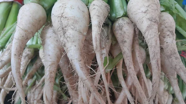 Raízes de rabanete branco com folhas verdes colocadas no mercado — Fotografia de Stock