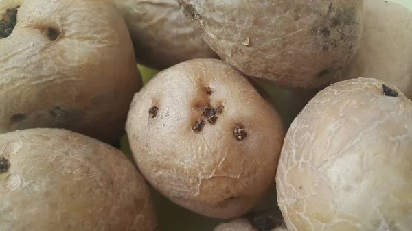 Закрыть обзор свежего органического картофеля на рынке: текстура на фоне картофеля — стоковое фото