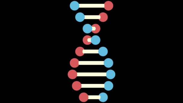 Video Uhd Elica Girevole Del Dna Con Elegante Sfondo Nero — Video Stock