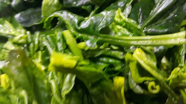 Крупним планом вид на пишне зелене листя овочів зі шпинату. Рослинний фон . — стокове фото