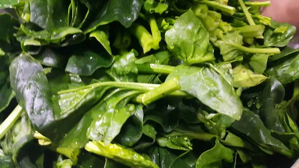 Ispanak sebzelerin yemyeşil yeşil yaprakların görünümü kapatın. Sebze arka plan. — Stok fotoğraf