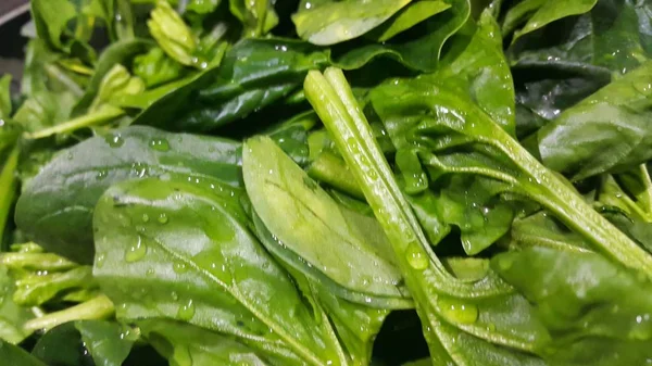 Close up view of lush green leaves of spinach vegetables. Vegetable background. — Stock Photo, Image