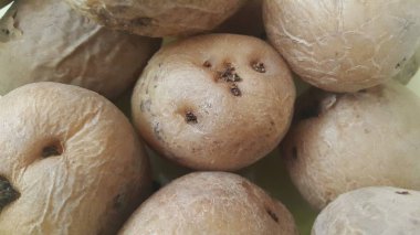  pazarda taze organik patates görünümünü yakın: patates arka plan doku