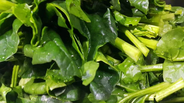 Close up view of lush green leaves of spinach vegetables. Vegetable background. — Stock Photo, Image