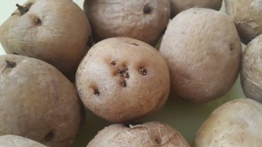  pazarda taze organik patates görünümünü yakın: patates arka plan doku