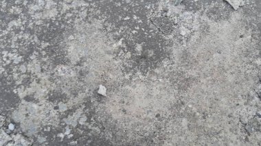 Gri renk kat arka plan metin veya resim alanı olan