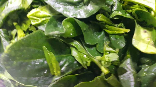 Close up view of lush green leaves of spinach vegetables. Vegetable background. — Stock Photo, Image