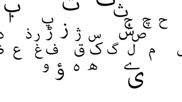 Летающие Буквы Алфавиты Языка Урду Белом Фоне Понятие Летающих Букв — стоковое видео