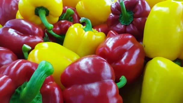 4k Nahaufnahme frisch gepflückter roter und gelber Paprika — Stockvideo
