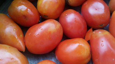 Satılık süper pazarda kırmızı domates