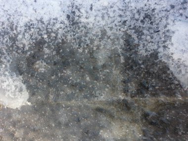 Renkli noktalar ile katta griish beyaz kar