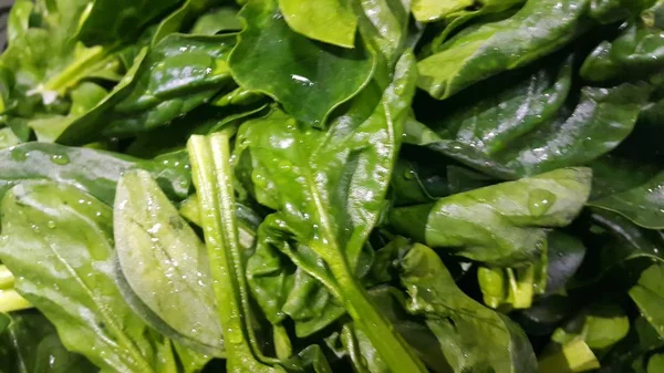 Close up view of lush green leaves of spinach vegetables. Vegetable background. — Stock Photo, Image