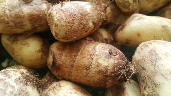 Vista de perto da pilha de taro vegetal para venda no mercado — Fotografia de Stock