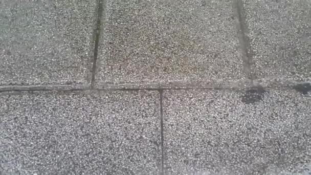 Vista de perto das gotas de água que chovem fazendo ondulação em tijolos cinzentos — Vídeo de Stock