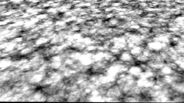 Созданный компьютером черно-белый фон анимации градиента . — стоковое видео