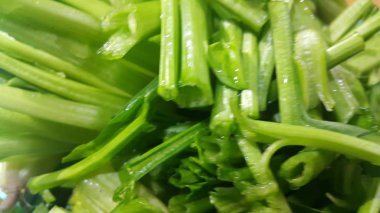 Ispanak veya paalak saag gür yeşil yaprakları temel görünümünü kadar kapatın 