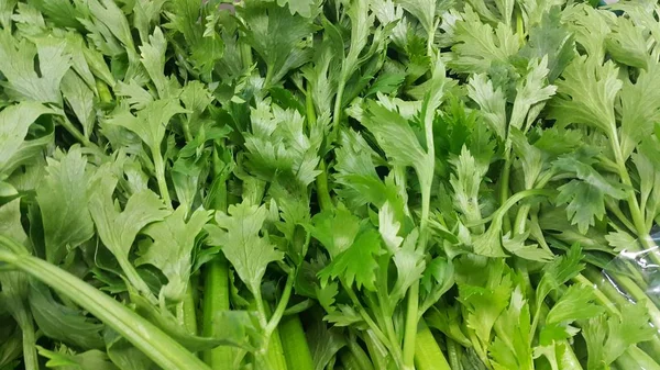 Close up view of lush green leaves of onions. Vegetable background. — Stock Photo, Image