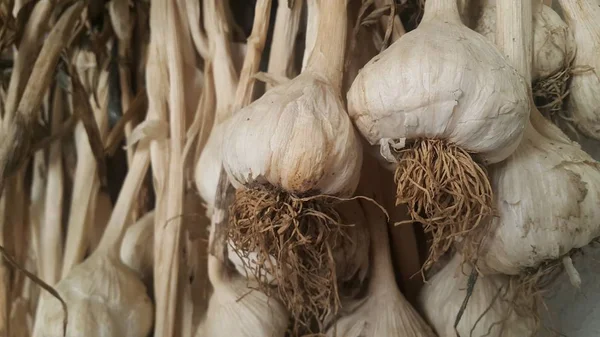 Pohled zblízka na suché cibule na česneku — Stock fotografie