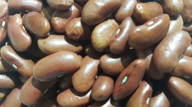 Kidenry fasulye: çiğ kırmızı barbunya fasulyesi Closeup görünümü