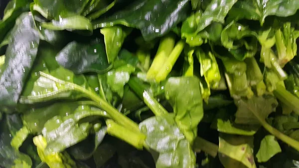 Close up view of lush green leaves of spinach vegetables. Vegetable background. — Stock Photo, Image