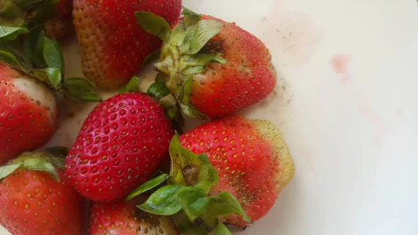 Draufsicht auf frische Erdbeeren im Teller auf rustikalem weißem Holzhintergrund. — Stockfoto