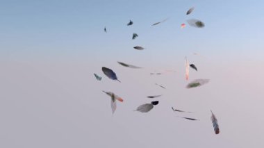 Uçan tüyler. Havada uçan farklı kuşların renkli kabarık tüyleri