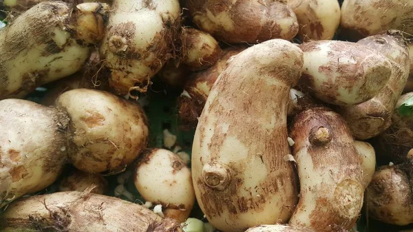 Vista de perto da pilha de taro vegetal para venda no mercado — Fotografia de Stock