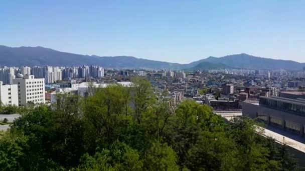 Vue panoramique des bâtiments commerciaux et des arbres verts — Video