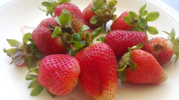 소박한 흰색 나무 배경에 접시에 신선한 딸기의 상단 보기. — 스톡 사진