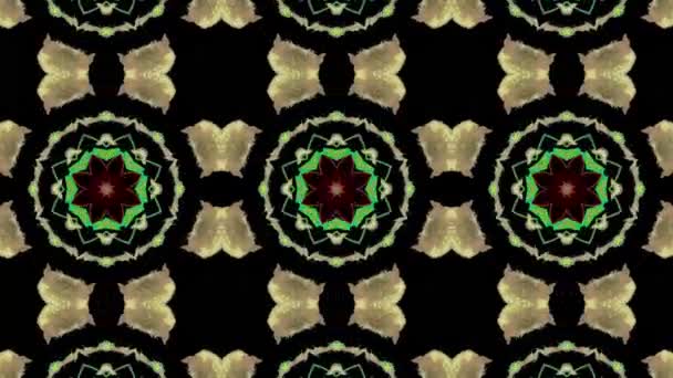Uhd Kaleidoscope Sequence Patterns Abstract Multicolored Motion Graphics Background — Stock Video