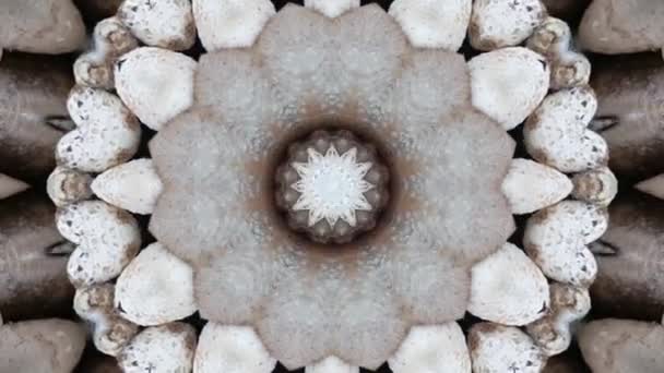 Uhd Kaleidoscope Sekvence Vzorů Abstraktní Barevné Pozadí Barevnými Barvami — Stock video