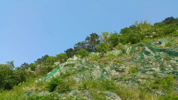 Vista de la hermosa escena del paisaje de árboles verdes y hierbas en grandes colinas —  Fotos de Stock