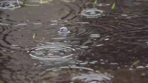 舞台裏の川の雨景色を映した鏡に降る雨滴のクローズアップビュー — ストック動画