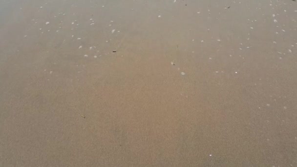 Океанские Волны Двигаются Туда Сюда Песчаному Побережью Вид Море Солнечном — стоковое видео