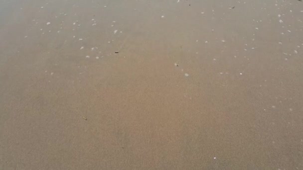 Vagues océaniques se déplaçant d'avant en arrière sur le rivage sablonneux. Vue de la plage mer sur la lumière du soleil en été . 
