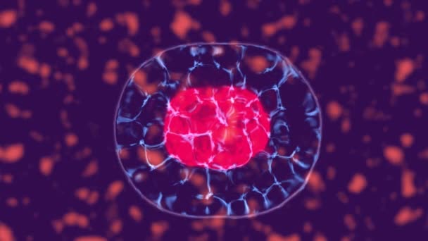 Divisão Celular Microscópio Células Estaminais Dividindo Dentro Fluido Corporal Animação — Vídeo de Stock