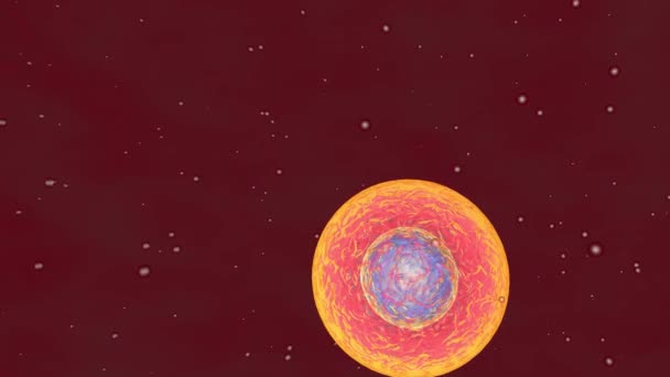 Zellteilung Unter Dem Mikroskop Stammzellen Die Sich Innerhalb Der Körperflüssigkeit — Stockvideo