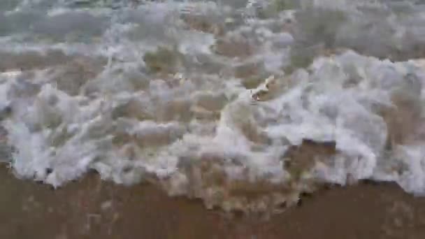 Onde Oceaniche Che Muovono Avanti Indietro Sulla Costa Sabbiosa Vista — Video Stock