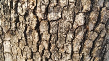 Arka plan ve doku için makro yakın doku